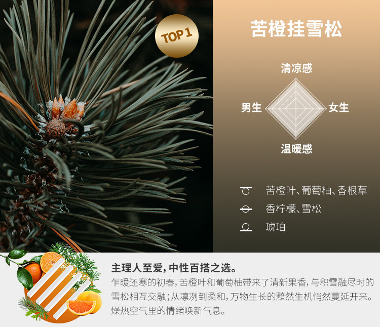 DAILY LAB 小金條車載香薰隨身香氛替換組合香錠補充裝出風口 4片/盒 琥珀粉胡椒 8款選