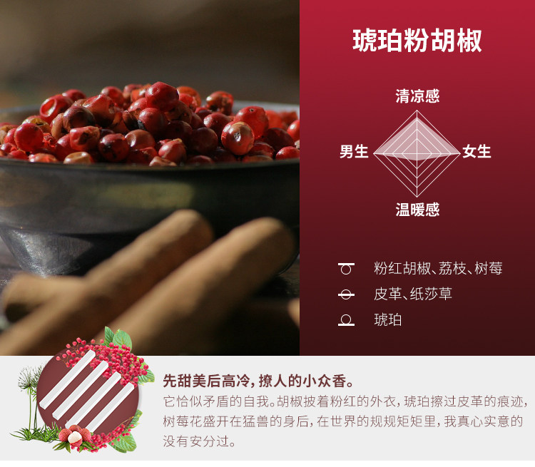 DAILY LAB 小金條車載香薰隨身香氛替換組合香錠補充裝出風口 4片/盒 琥珀粉胡椒 8款選