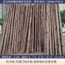 Flood control wooden piles pine wood piles river piling wood log piles building foundation slope protection projects anti-slip wood