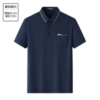 B15Z Тибетский Цин