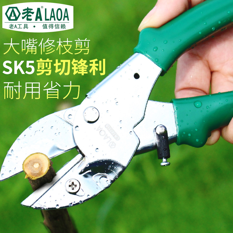 Old A gardening scissors 8 inch branches Scissors Fruit Branches Cut garden Scissors Repair Flowers Scissors Repair Branches Off Fruit Scissors SHD