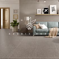 American vintages cement color minimalist Tile Living Room bedroom Anti-slip floor tiles Hotel Minjuku Light House Tiles 600