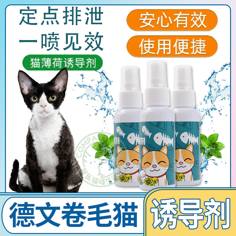 German curly cat special interactive play kittens happy water cat mint spray inducers perfume self-hi appeasement
