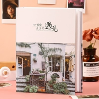 Самая красивая встреча