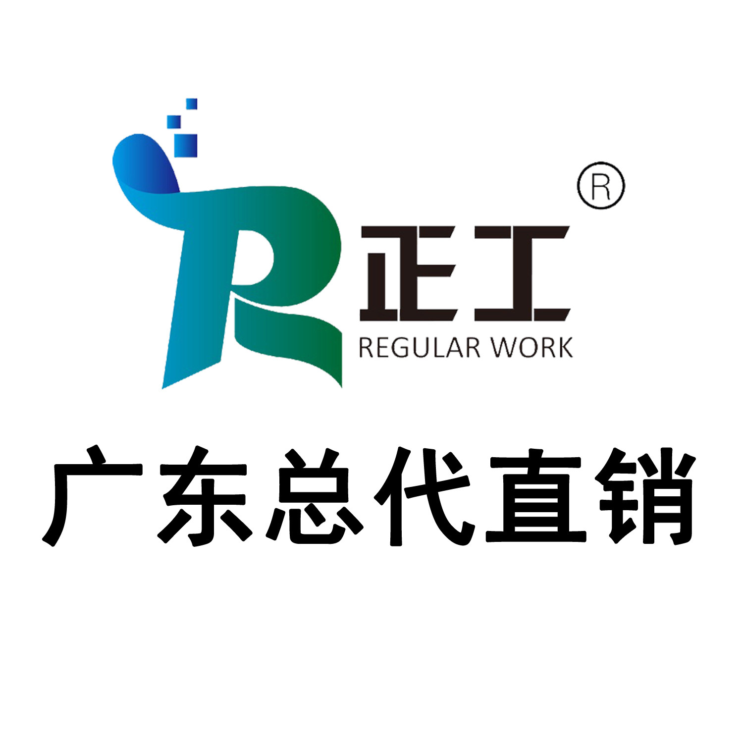 正工电气广东经销商的LOGO