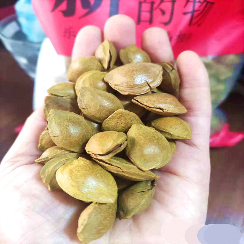 Xinjiang specialty open small silver almond snack hand peeled five-spice dried nuts roasted goods crispy Kuche small white apricot kernel