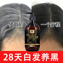 Correction of Polygonum multiflorum shampoo plant to black hair juvenile white hair root turning black artifact middle-aged and old postpartum pure