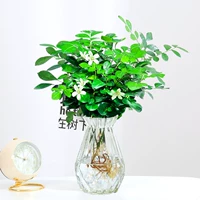 Прозрачный питательный раствор, 15 шт