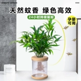 Гидропонные комары, бамбук и кипрессовый настольный настольный столик