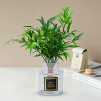 10 больших репеллентов от комаров из бамбука и кипариса + открытая прозрачная мини-бутылка + кристальная грязь + жидкость