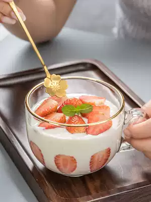 2-piece glass Brown Nordic breakfast oatmeal Cup heat-resistant household large capacity Milk Cup with lid spoon mug