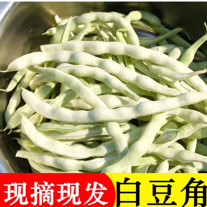 Farm fresh vegetables Northeast white beans four green beans fresh freshly picked kidney beans white rack beans white Bulao 5 pounds