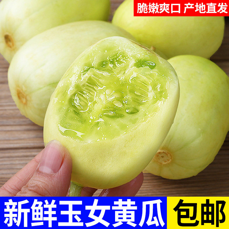 Cucumber Thumb Golden Boy and Jade Girl Cucumber Fresh Small Cucumber Fruit Small Cucumber Raw Farm Eats Pickled Vegetables Freshly Picked