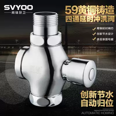 All copper flush valve cosmetic room toilet squat toilet flush valve hand press type self-closing stool delay valve manual