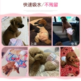 Физиологические штаны для собак, моча, без мокрой суки, мужская собака посвященные подгузники, домашние животные, маленькая менструальная тетя, тетя, защитная плюшевая девушка