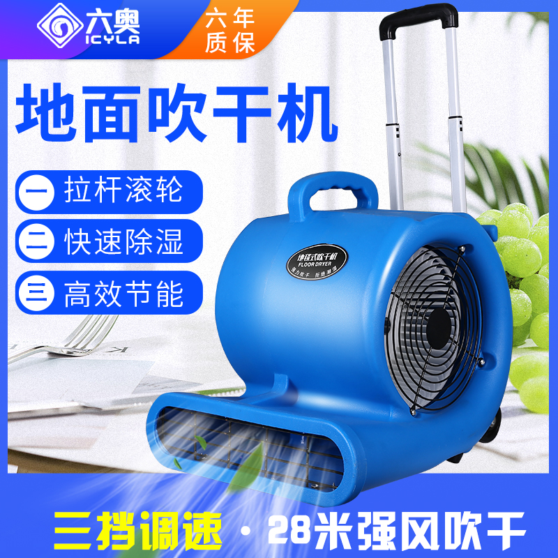 Liuao blow dryer commercial high-power drying hot and cold hair dryer carpet toilet ground floor dehumidification blower
