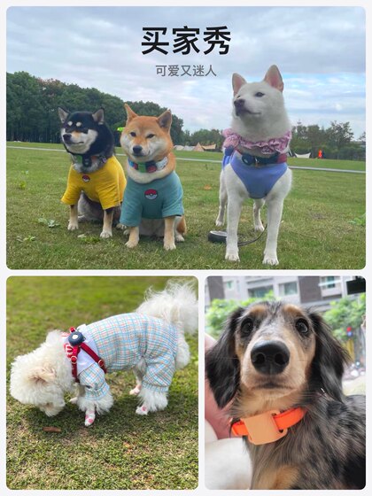 Airtag保护套宠物专用项圈适用苹果airtag防丢器airtag猫项圈狗项圈airtag宠物项圈airtag自行车固定器硅胶