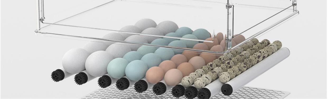 孵蛋器水床小鸡蛋芦丁孵化器小型机器家用全自动智能孵化箱孵化机