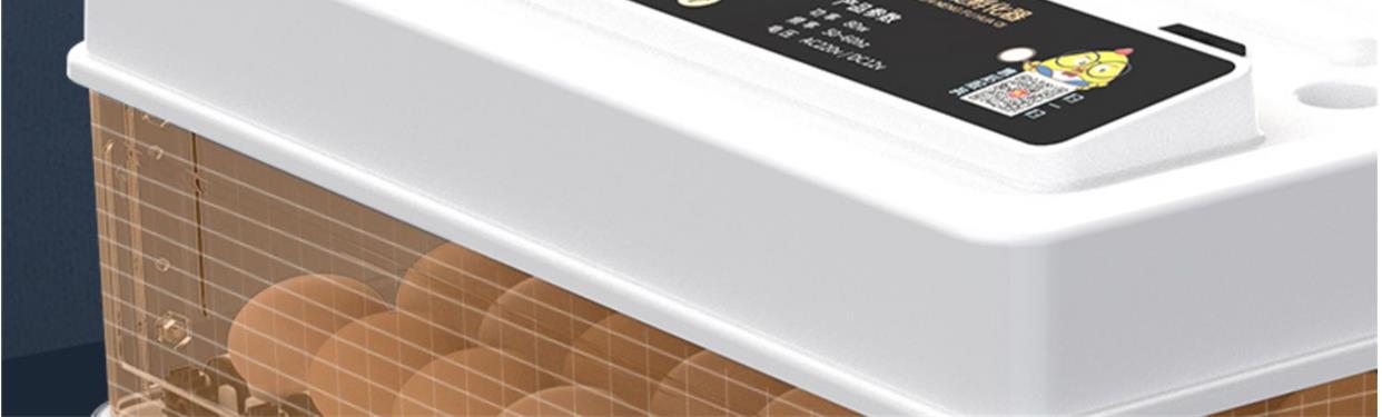 孵蛋器水床小鸡蛋芦丁孵化器小型机器家用全自动智能孵化箱孵化机