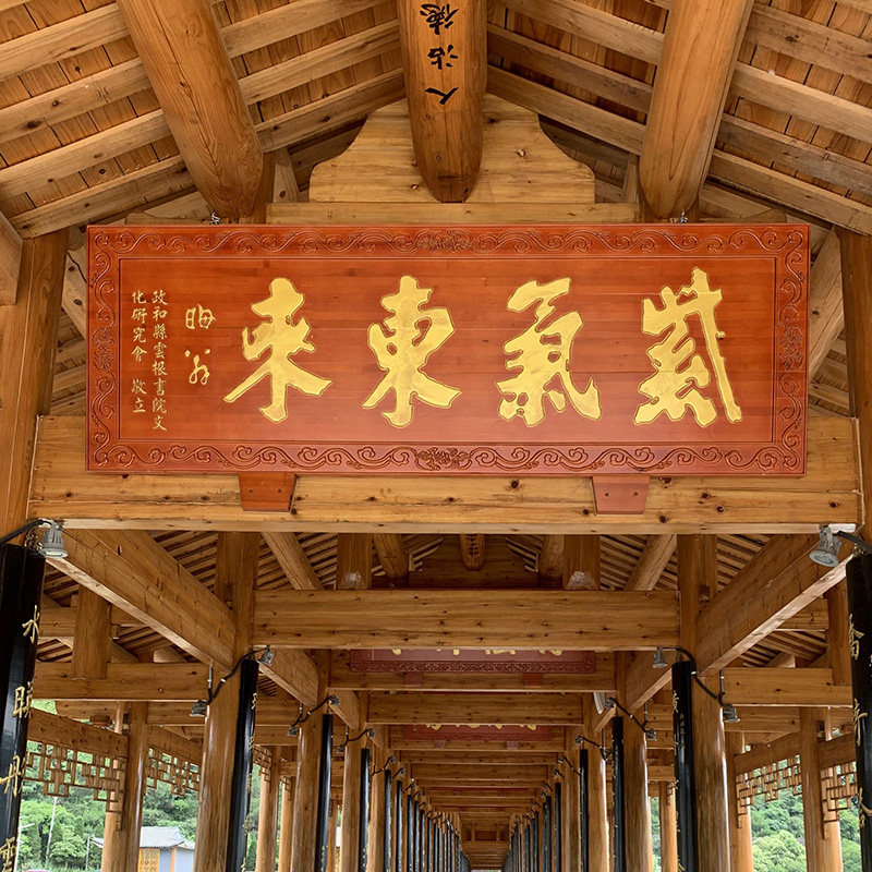 Dongyang wood carving plaque couplet custom-made golden jade full hall pendant Heavenly official blessing hanging plaque camphor wood solid wood relief