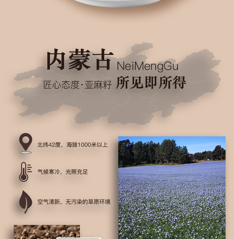 Linese Seed_04.jpg