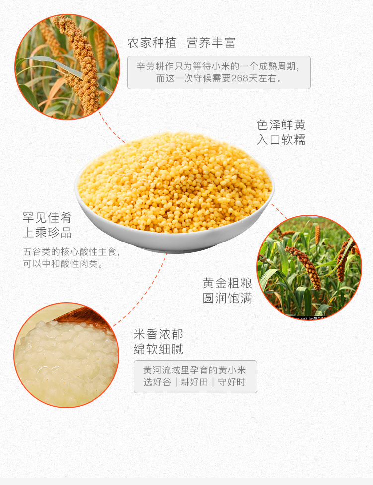 Huang Xiaomi Details_10.jpg