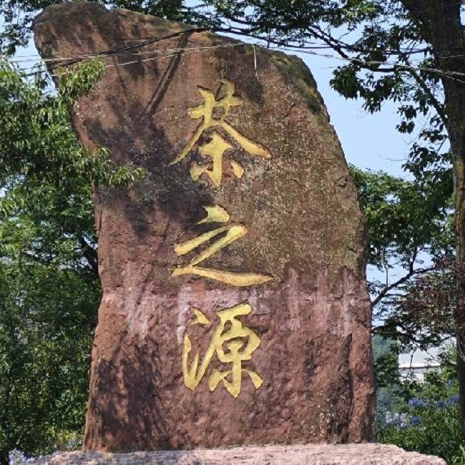 雅安毛芙春茶业