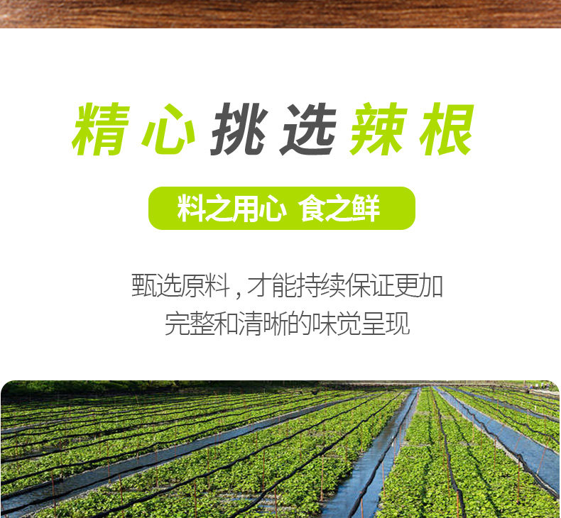 安享好物 安享D级芥末-加厨宝日式 StB青芥辣酱 国标 