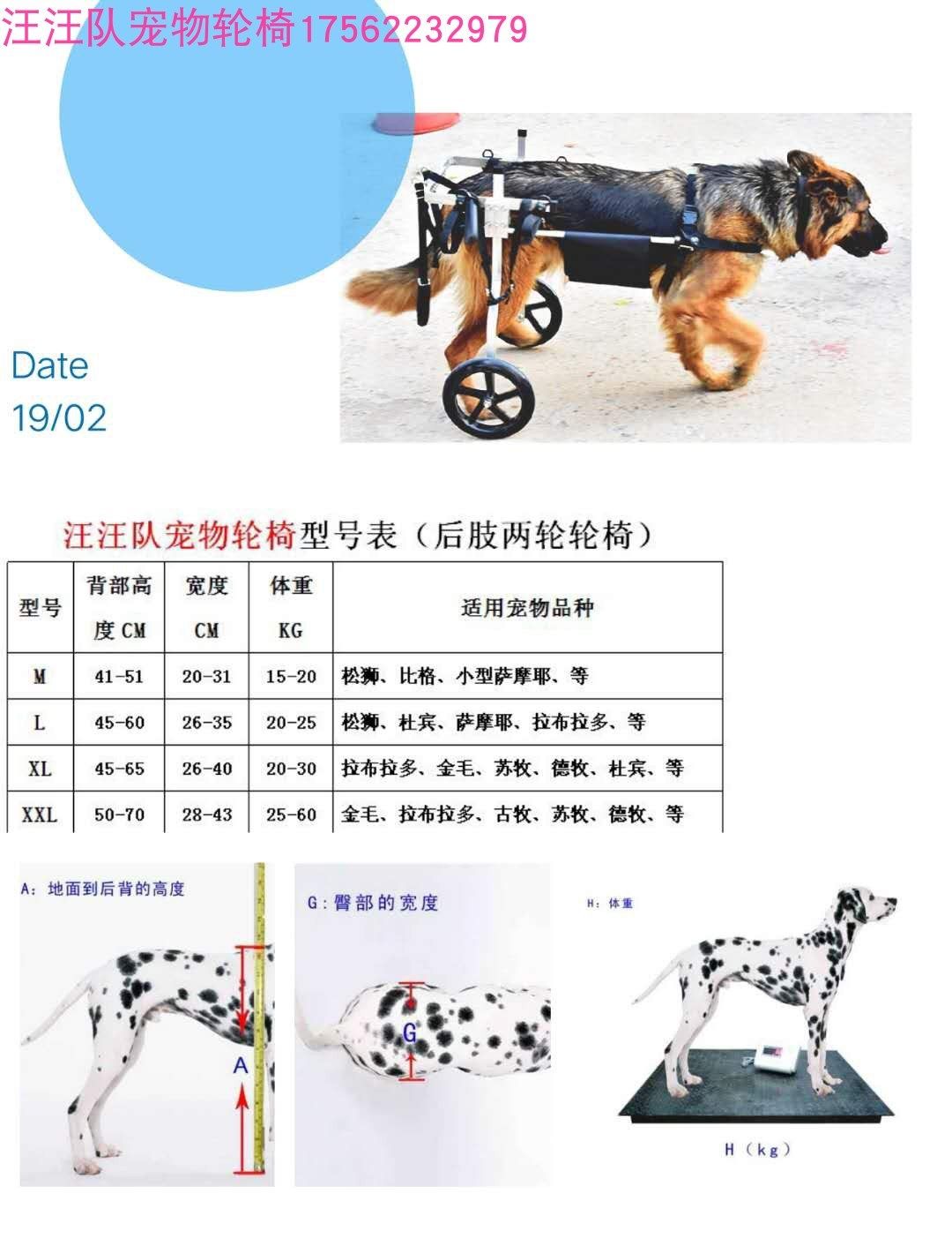 Инвалидная коляска для собак на задние лапы своими руками чертежи и фото