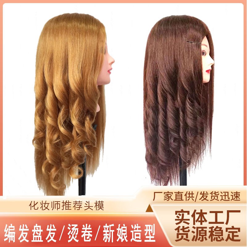 Hairdressing Mannequin Head with Real Hair, Dummy Head Model, Doll Head for Styling, Braiding, Curling Iron, Bridal Styling, Makeup, and Hair Styling