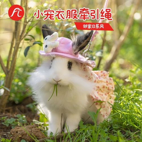 Педанные кролики оформление одежды Поставляется голландским свининой кроличьи кролики кролики кролики можно использовать для юбки с тягой кролика