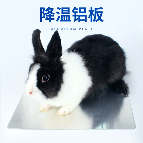 Хомяки лето во время летнего тепло охлаждения поставляют кроличьи голландские свиньи