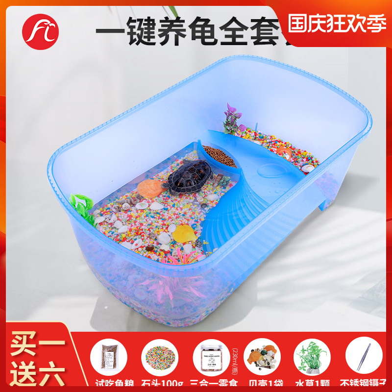 Small turtle live animal with tank home colorful pet Chinese tortoise grain feed Brazilian turtle feed snapping turtle basin