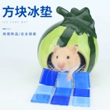 Хомяки лето во время летнего тепло охлаждения поставляют кроличьи голландские свиньи