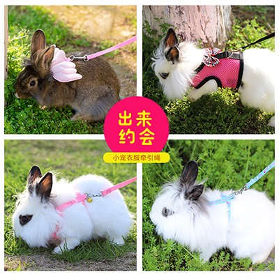 Rabbit Traction Rope Rabbit Rope Supplies Clothing Chain Sub small pets Walking Rabbit Rope With Rabbit Rope Anti-Escape for Rabbit Rope