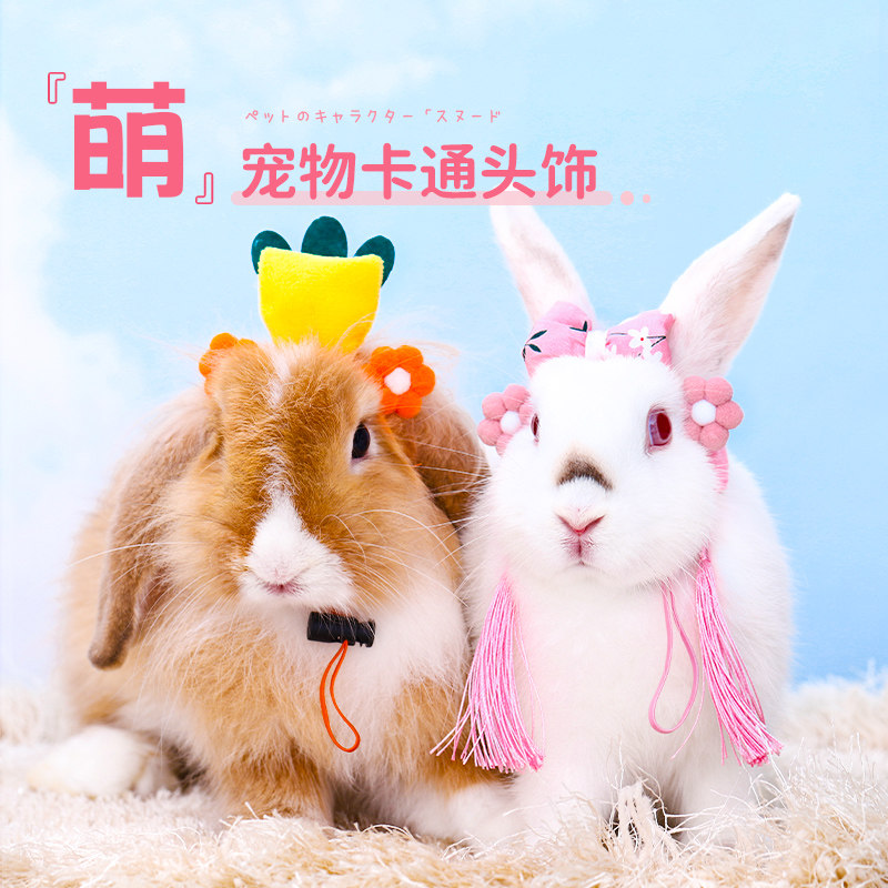 Rabbit Headdress Lop Ear Rabbit Dwarf Rabbit Hat Pet Rabbit Bunny Rabbit Ornament Decoration Supplies Clothes