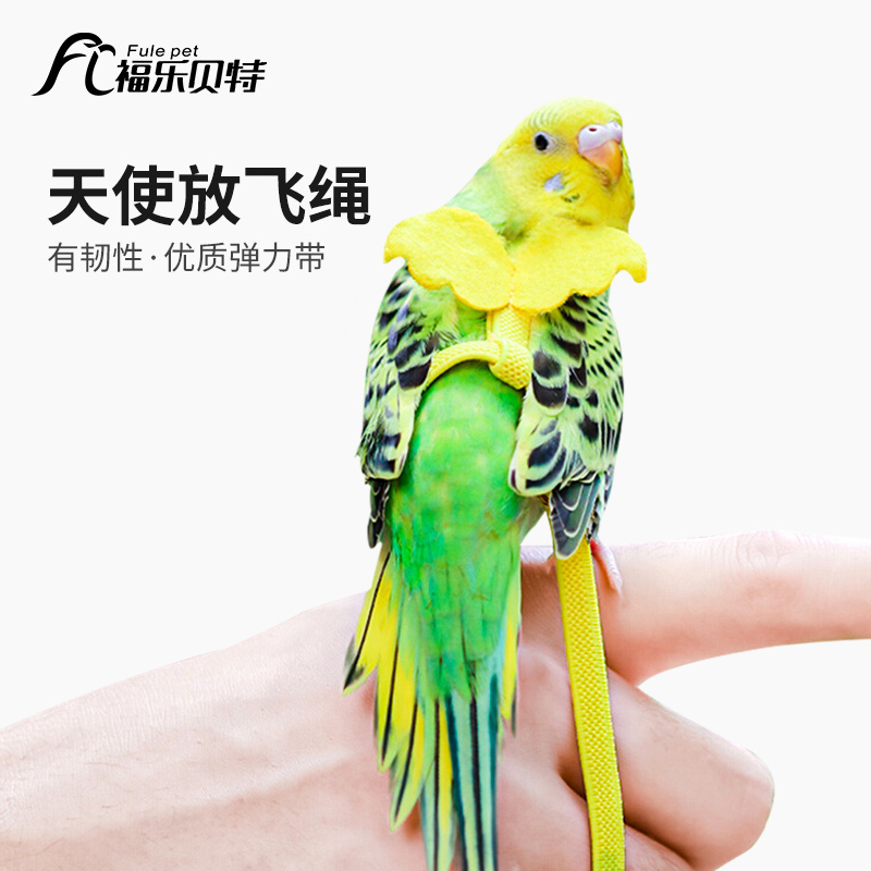 Parrot with flying rope ultralight without injury footballer Phoenix Bird God Ware Outdoor Walking Bird Rope Machine Traction Rope Out supplies