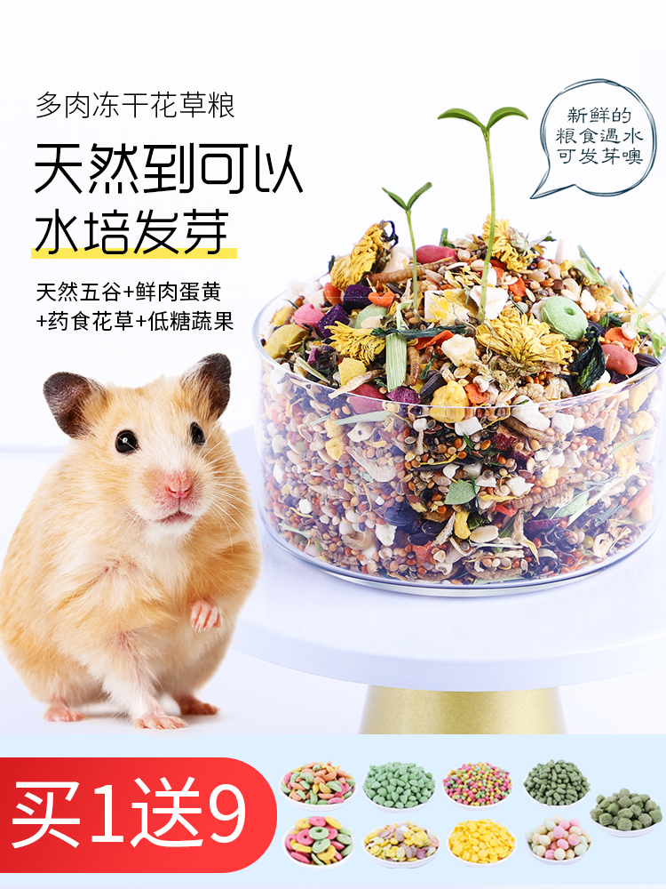 Small hamster food staple food Self-matched molars Fruits and vegetables Bread worms Freeze-dried grains Golden bear feed snacks