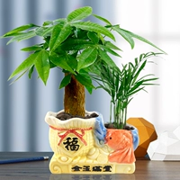 Джин Юман (Дерево Фортуны+Кокос карман)