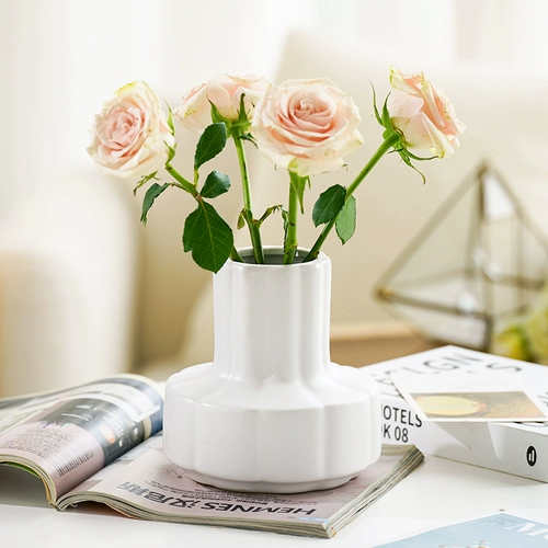 Чистая красная керамическая ваза украшения простые кремы для гостиной ins в стиле цветочный шкаф телевизионный шкаф