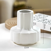 Слива цветение (белый)