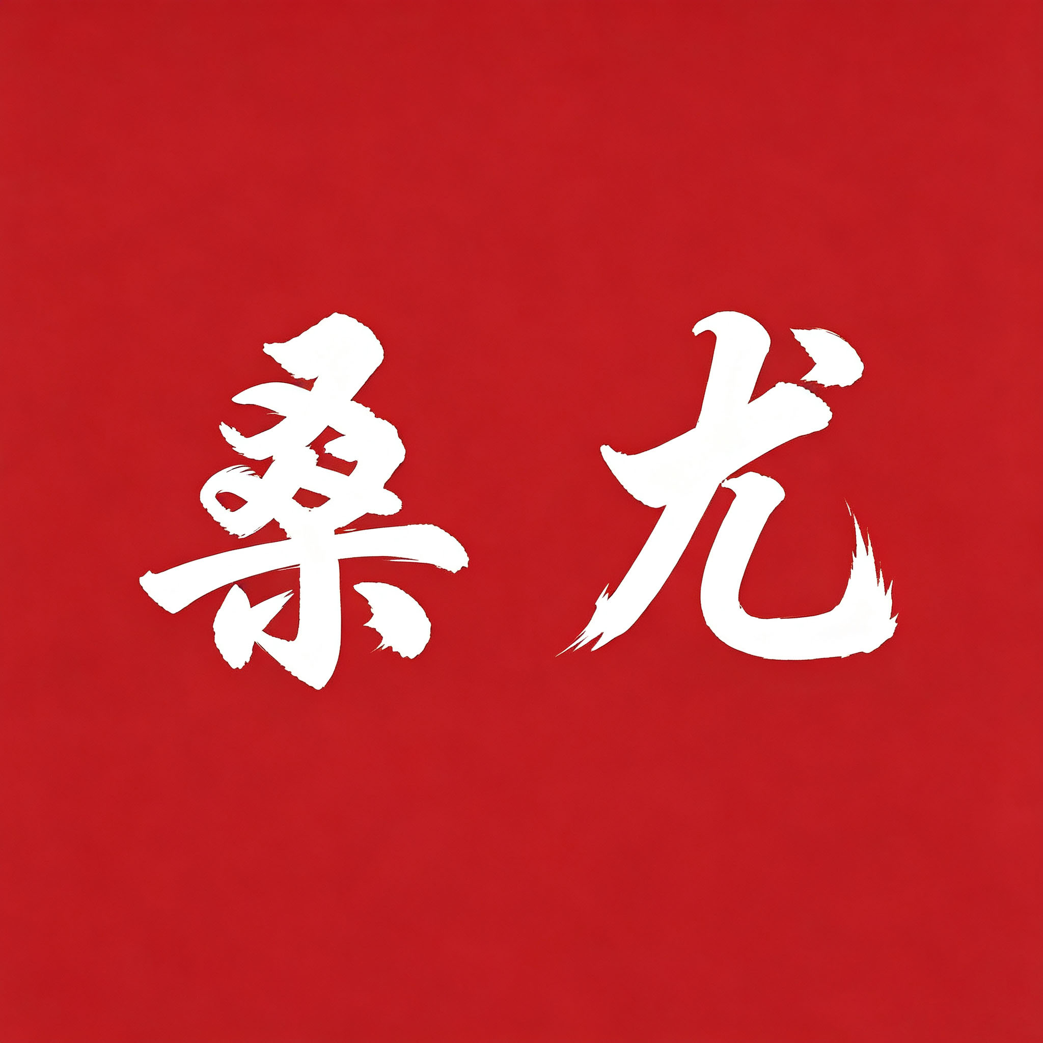 桑尤旗舰店