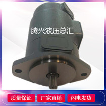 Japan TOKIMEC Tokyo meter hydraulic pump PH80-MSYR-21-EDHS2-10 plunger pump oil pump