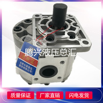HCHC Hefei Changyuan gear oil pump CBN-F63-BFP BFPL BFH original hydraulic pump