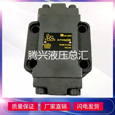A1Y-Hb20B A1Y-Ha20L A1Y-Hb20L hydraulic fittings pressure holding valve hydraulic control check valve hydraulic lock