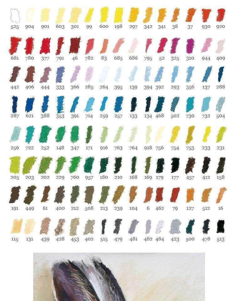Красный шарф 法国sennelier申内利尔色粉手工粉彩20色30色80色120色人像风景色