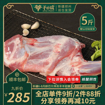 Fresh mutton is now killed Xinjiang lamb shank sheep lean meat not fat whole 5 catties of lamb front leg fresh mutton