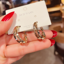 Temperament Superior Sense Circle Earrings Earrings East Large Doors Small Crowddesign Sensation Metal Earrings Personality Earrings Button Net Red Ear Accessories