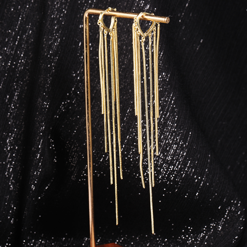 Miss Yilan female long version of tassel earrings temperament face thin earrings 2021 new trend net red ear jewelry ear buckle