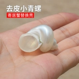 Зеленые улитки натуральная раковина для раковины домашнее крабовое оболоч